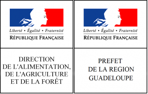 logoDAAF